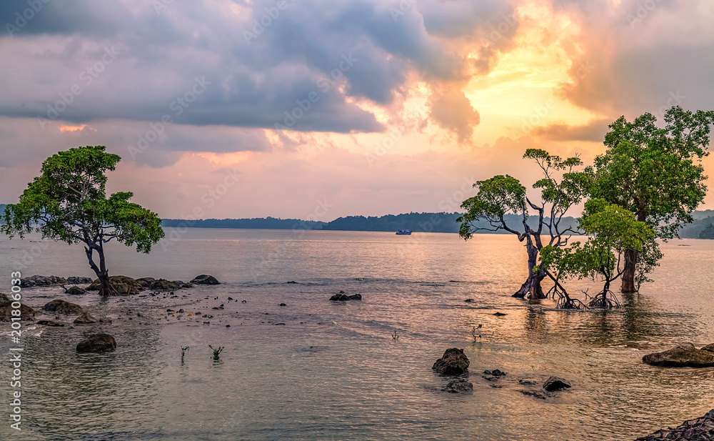 Chidiya Tapu (Bird Island)